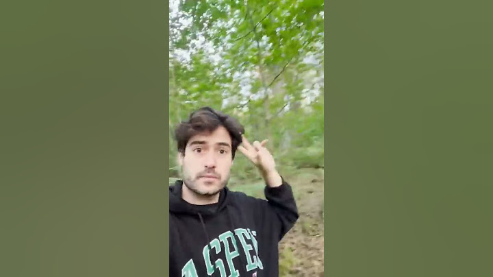 J’ai fait une mauvaise rencontre dans la forêt - Partie 1 (Fiction)