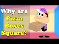 Why are Pizza Boxes Square? | #aumsum #kids #science #education #children