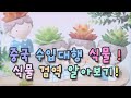 중국수입대행 식물 수입 식물검역 알아보기 Mp3 Song