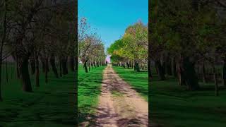 Batalla de Pavón, Rueda, Santa Fe. Ex Estancia Los Naranjos.