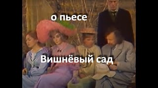 :   " ", ..  ... // ...  ... //...