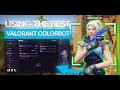 I Actually Got My Dream Rank Using A Valorant Colorbot... (TUTORIAL / RADIANT GAMEPLAY)