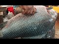 Giant Catla Carp Fish Cutting Skills At Knife In Fish Market | Fish Cutting Fast
