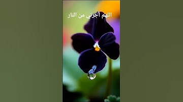 #الشيخ- امام -كعبه- السعود- الشريم #التلاوة- رائع -خاشعة -اجمل- جدا -صوت#