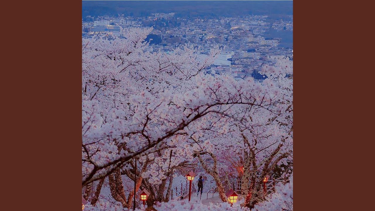 七辻屋的猫与少年 Youtube