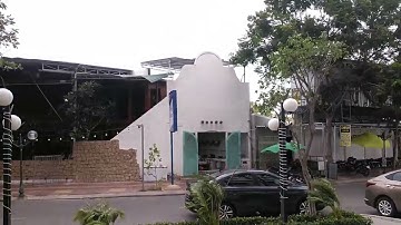 Trời thu Phan Rang miên man gió thổi || Hoa Tiêu Đất Nắng #ninhthuan #dulichvietnam #travel