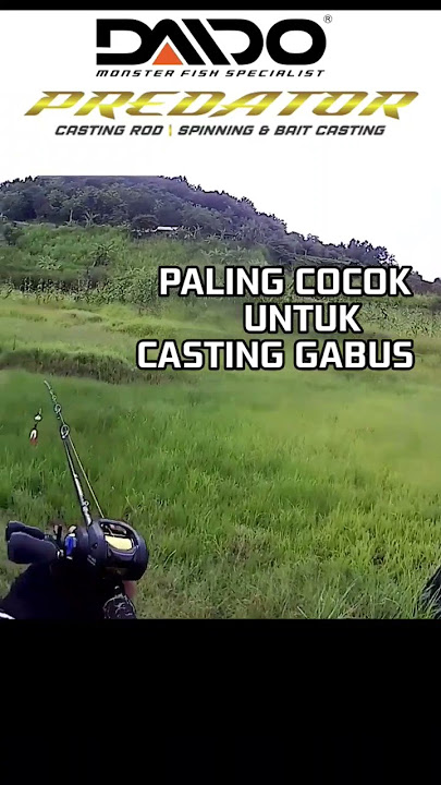 Joran ini paling cocok untuk casting gabus !! Daido Predator 4-12 LB #shorts #videoshort #daido