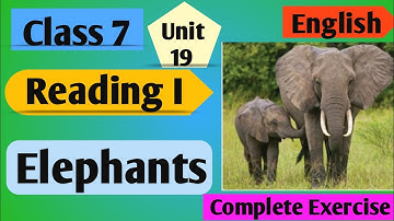 Class 7 English | Unit 19 Reading i Elephants | Grade 7 English Unit 19 Reading i Elephants Exercise