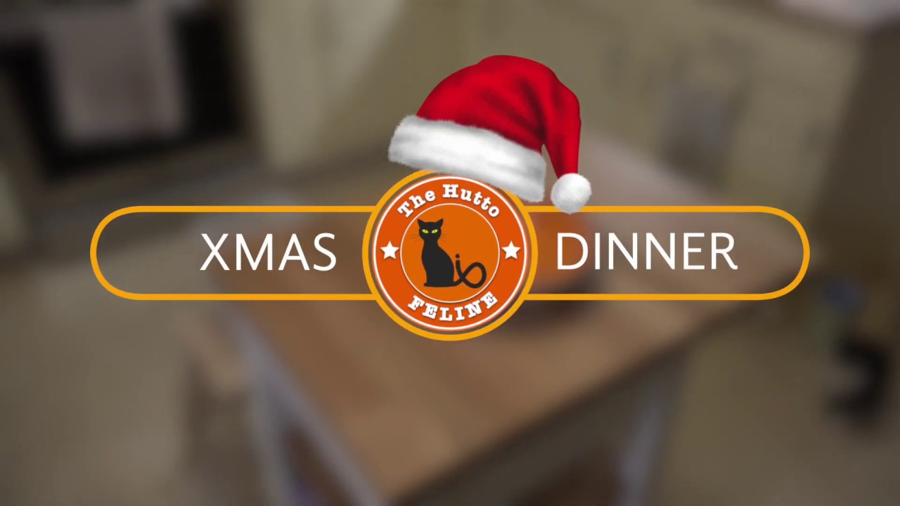 FeLV Cats Love Life - Christmas Dinner for the Cats 
