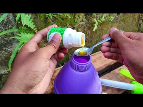Video: Minyak Neem Kegunaan: Menggunakan Insektisida Minyak Neem Di Taman