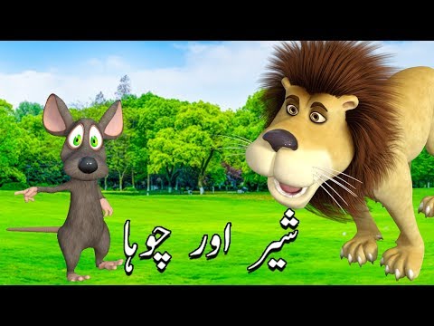    شیر اور چوہا       
