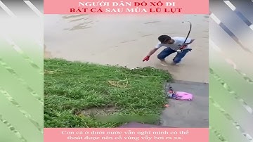 Người dân đổ xô đi bắt cá sau mùa lũ lụt