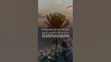 القارئ سعود الفایز #blawkrawa #راحة_نفسية #الرحمن #لايك #البرزخ #اكسبلور #الطحان  #المصحف #دويتو