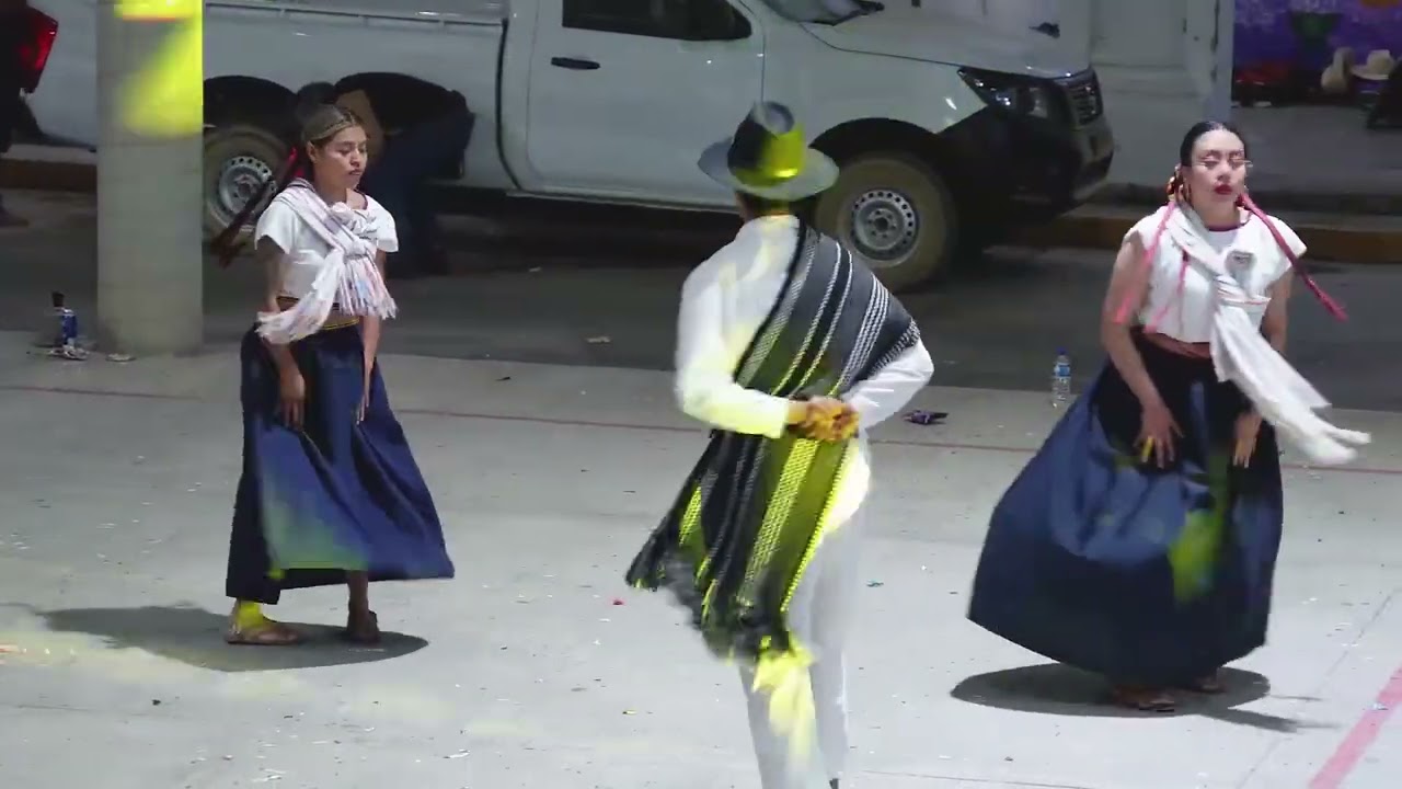 feria anual santos reyes Tepejillo Oaxaca  2025