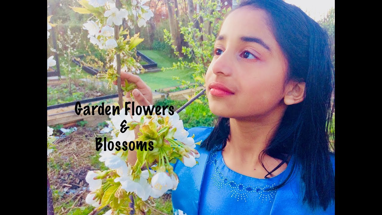 Garden flowers and blossoms
