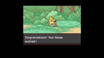 Evolution of Pokemon Eevee || Eevee Evolve into Jolteon || Pokemon Shorts #pokemon #eevee #jolteon