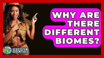 Why Are There Different Biomes? - Ecosystem Essentials