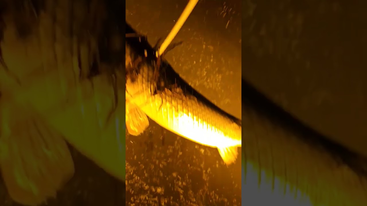 When you find an arrow in the lake.