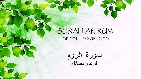 سورة الروم للقارئ حمزة معاذ 🤍❤🤍