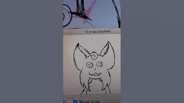 My first animations using Firealpaca and a Wacom Tablet!