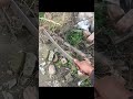 Custom Made Pizza Cutter (691)