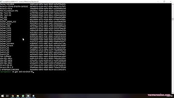 Enable VLAN trunking on Nutanix AHV VM
