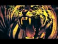 ShockFront - EYE OF THE TIGER (80s Metal Version)