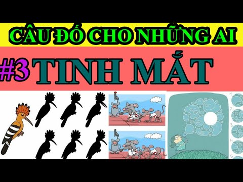 Những câu đố vui hay nhất có đáp án phần 11 | Đố vui có đáp án