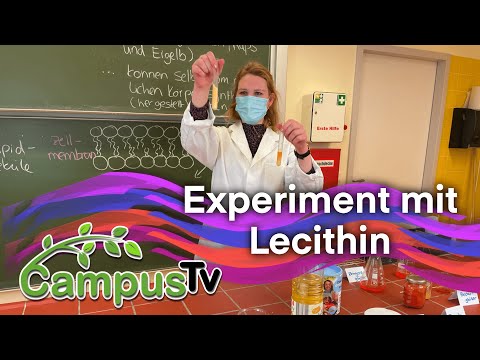 Video: Lecithin - Was Ist Das? Wofür Ist Das? Nutzen Und Schaden Von Lecithin, Wo Ist Es Enthalten?