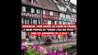 Pour sauver les fleurs de Colmar, le maire propose de 