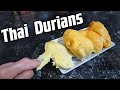 DURIAN : Comparing Four Varieties From THAILAND -  Weird Fruit Explorer