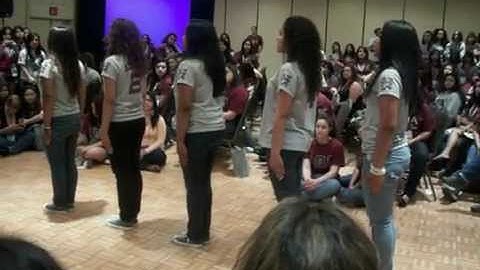 Lambda Theta Alpha Convention 2010