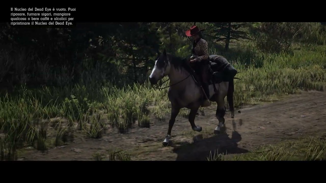 Dun Criollo Trail Ride - plus Legendary Katata Elk hunt