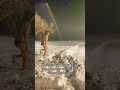 Sauna tradición Finlandesa #sauna #finlandia #finnish