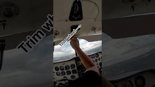 POV: Your trim wheel is on the ceiling 🤨✈️ #aviation #piperaircraft #pov #cockpit #generalaviation