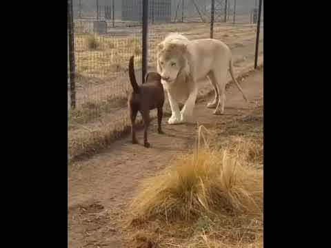 الموضوع خطير جدا