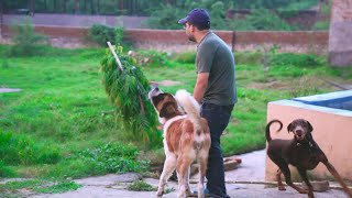 What happens when a person abandons his pet dog? | Abhinav Srihan w/ Humans of Delhi