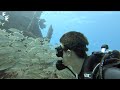 Old WWII Shipwreck In Florida (Wild) - What Can I Find While Diving?