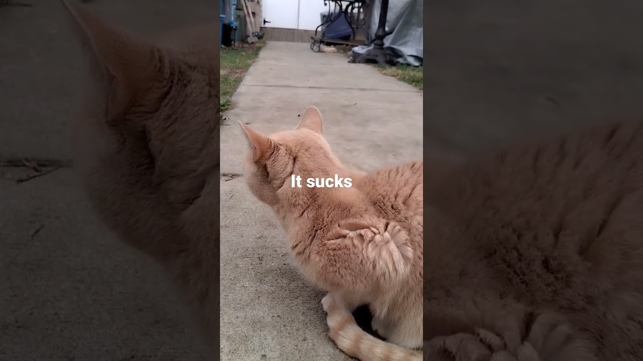 Interviewing  Douglas on the cold🌡️weather 