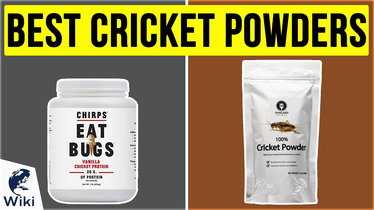 8 Best Cricket Powders 2020