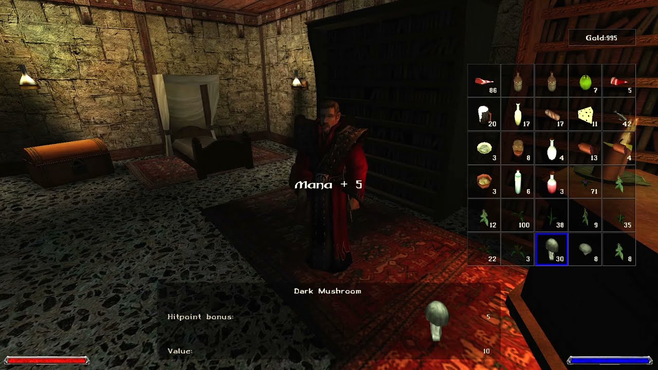 Gothic II Gold: How to get free mana and strength