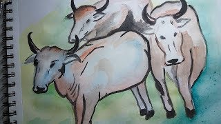 Easy Water Color Painting Of Cows For Beginners