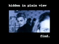 Hidden in Plain View - Find