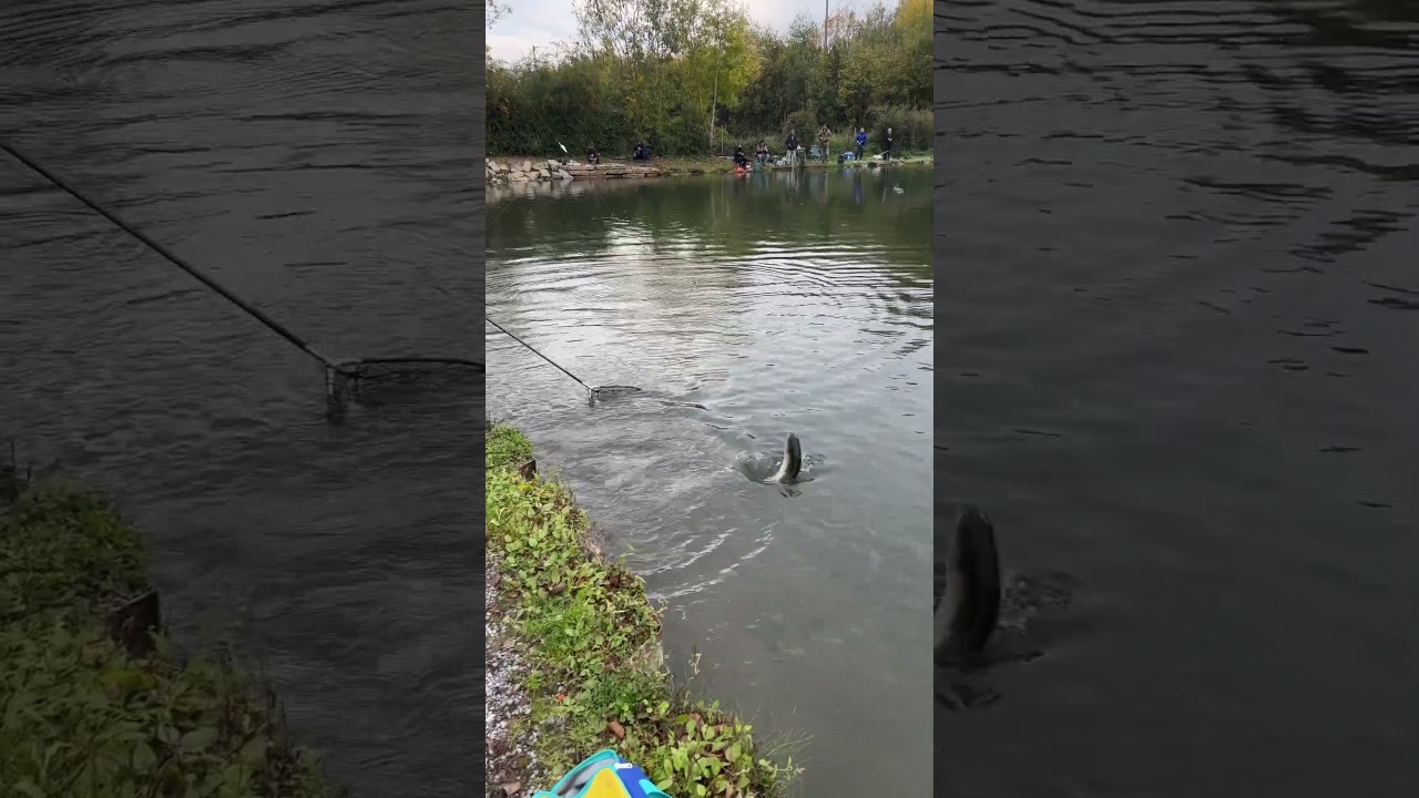 Forellenzucht Kannen 📍 