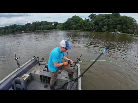 Summer Tactics for Big Catfish 