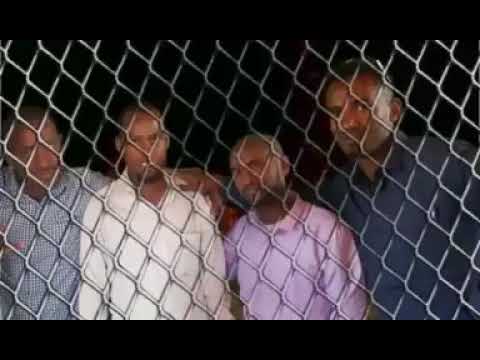 Seena Shek Jamal Aliyyi 