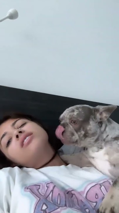 Malu Trevejo Getting Eating Out By Dog Malu Trevejo - kiss dog 🐩 - YouTube