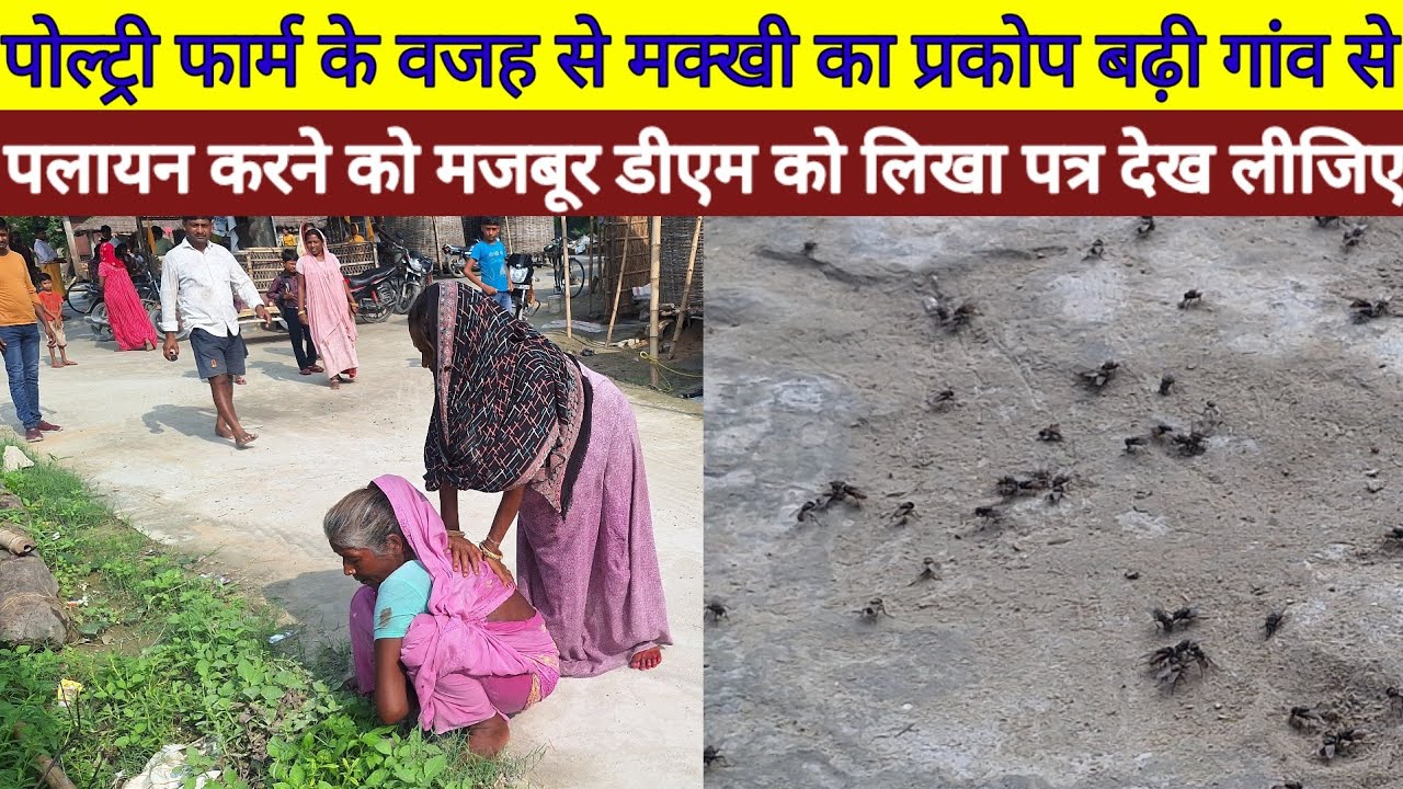 Kanti में पोल्ट्री फार्म के वजह से मक्खी का प्रकोप बढ़ी गांव से पलायन करने को मजबूर DM को लिखा पत्र 