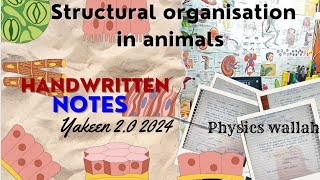 Handwritten Notes Of Biology Structural Organisation In Animals Pw Yakeen 2.0 2024 Notes