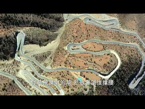 荒漠中的草 - 男女双语